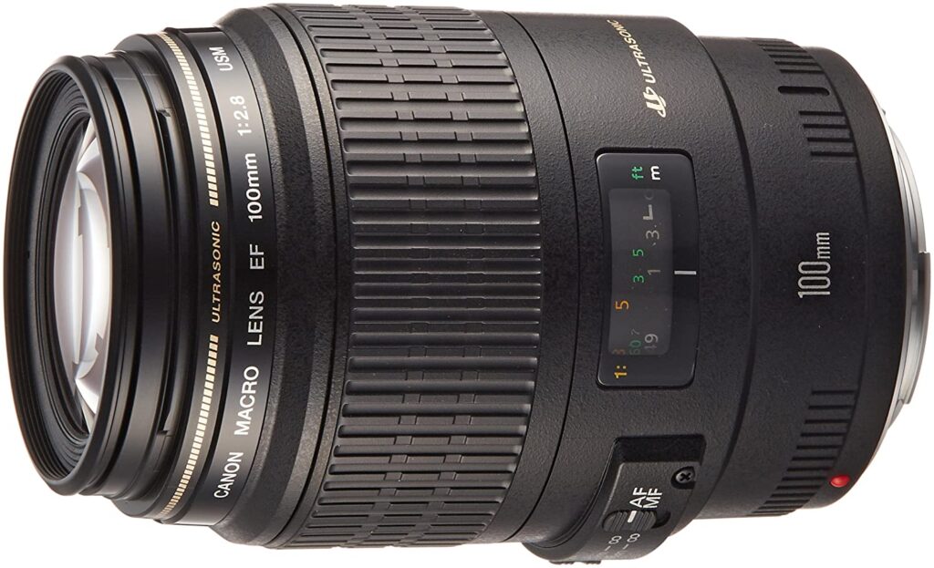 Canon 単焦点マクロレンズ EF100mm F2.8 マクロ USM フルサイズ対応